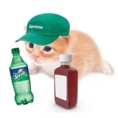 Dihstress