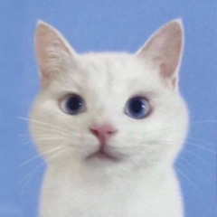 うゆ