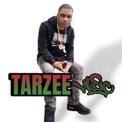 TarzeeMusic