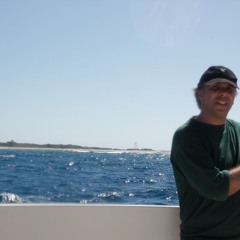 João Soares E Silva