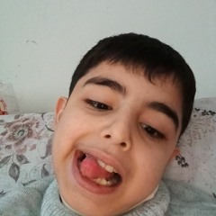 mr elevimon