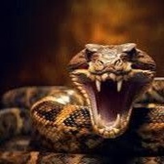 deadleito024🔞🖖