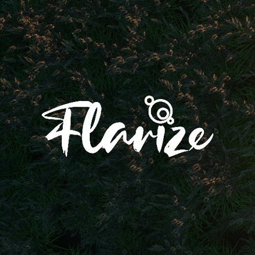 Flarize’s avatar
