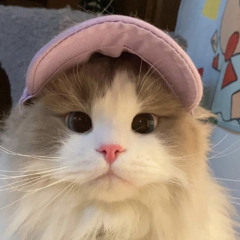 pinkyntami