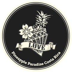 Pineapple Paradise