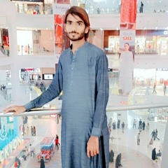 raja ali