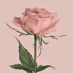 زوز علي