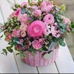 Mariam ABo Elyazied