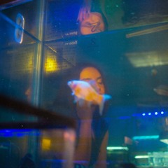 Angelx
