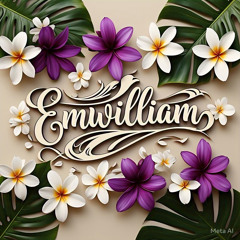 Emily Joe
