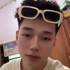 phamhoanghaiii