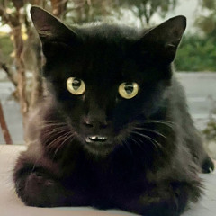Mel1na