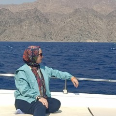 Nariman Ashraf Tawfik