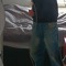 Blechii_418