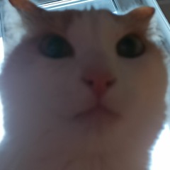 kirik