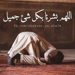 زهرة ياسمين