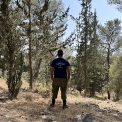 רונן חנוכייב