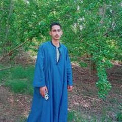 Mohamed Farag Shoueb