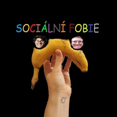 Sociální Fobie