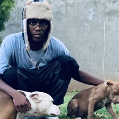 TheBoy Perplex