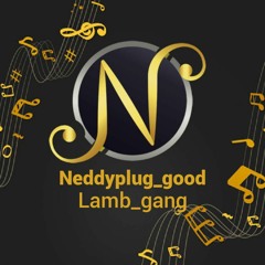 Neddyplug
