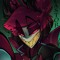 Alastor Hartfelt
