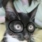 murishha^^