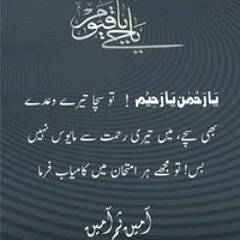 Hafiz Usman Majid
