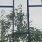 Eternus22