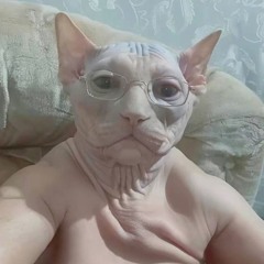 zxcghoulтемный принц zxc "крутой"
