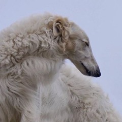 iluvueventhoughuthrowmeintheriver