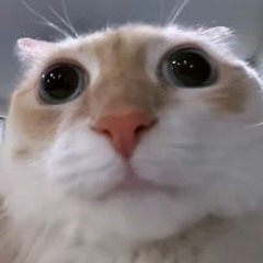 RU