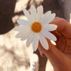 Noor A