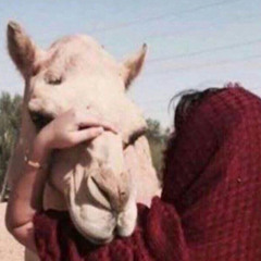 رِيتَال الحربي