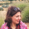 Elham M