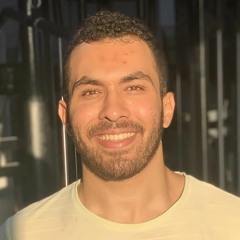 Mohamed Emad 336