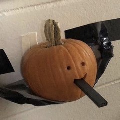 TRVVIS
