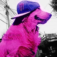 elihasanalibi