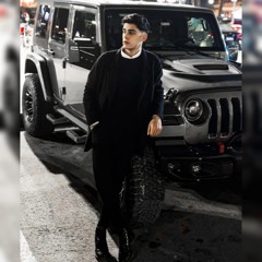 mohamed al wakil