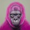 monkey man