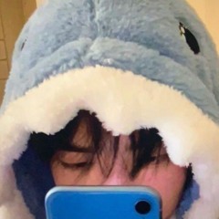 Komory 🦈