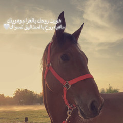 sultan alshamsi