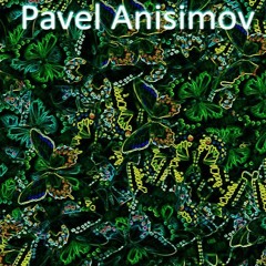 Dj Pavel Anisimov