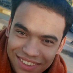 Hassan Abdelgany