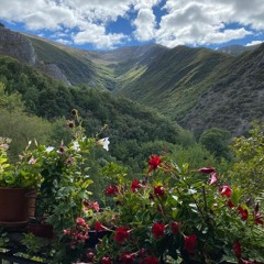 Carmen Martínez Fernández