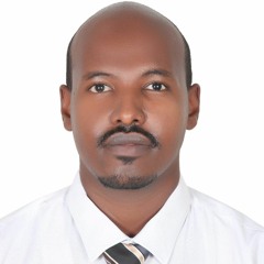 Mohammed alfaki