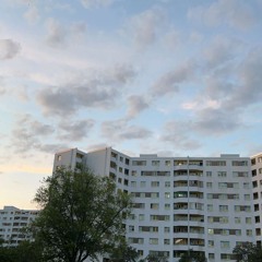 RavX