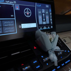 السعيدي.