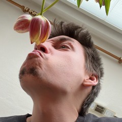 Daniel Muller