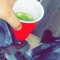 wigglez